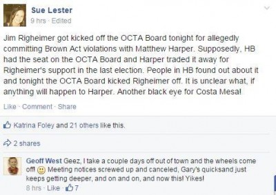 Sue Lester libelous attack on RIgheimer